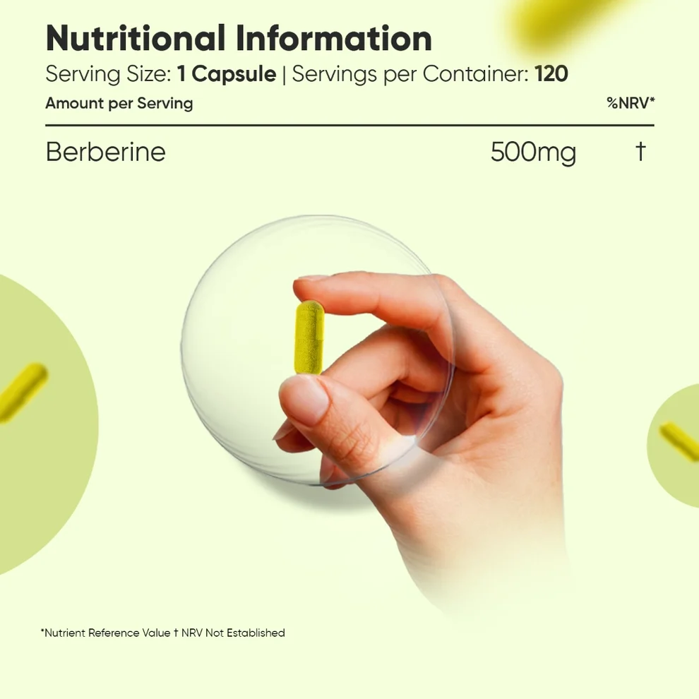 Hreint Berberine - 500mg 120 hylki 3