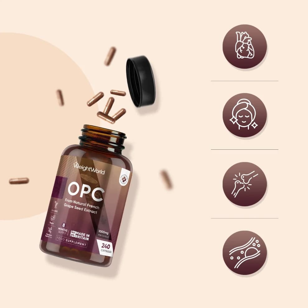 OPC (frönsk vínberjakjarnaþykkni) hylki 3