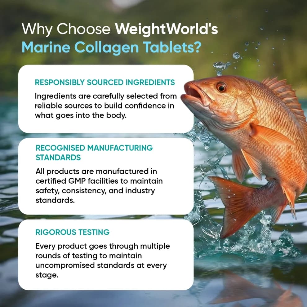 Marine Collagen hylki 6